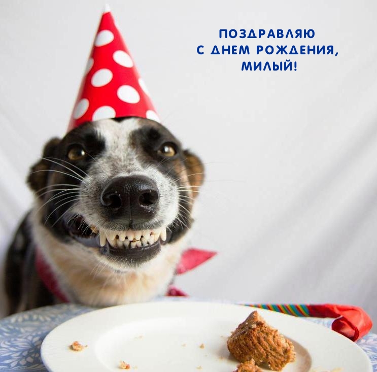 Поздравляю с днем рождения, милый!