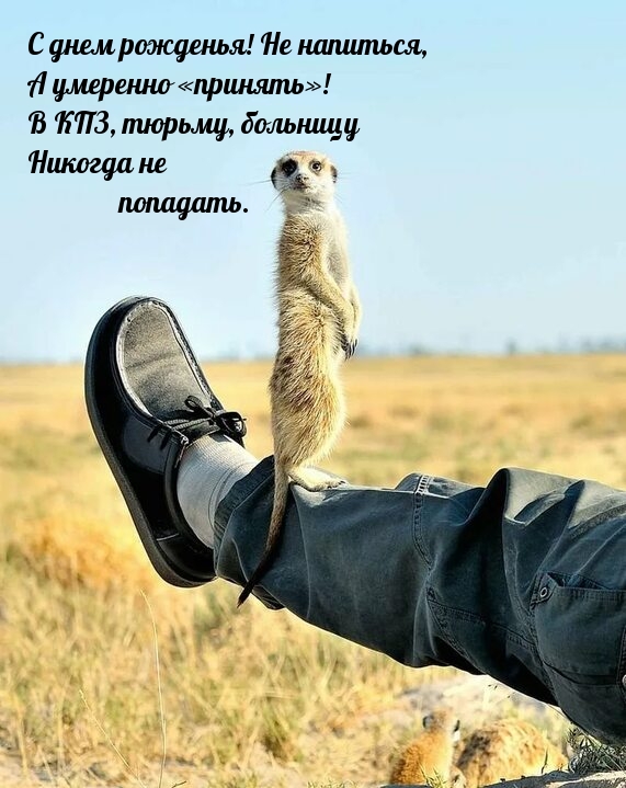 С днем рожденья! Не напиться, а умеренно «принять»!