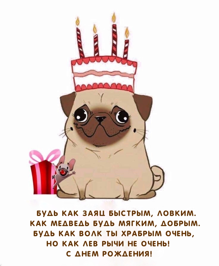 С Днем Рождения! Будь как заяц быстрым, ловким.