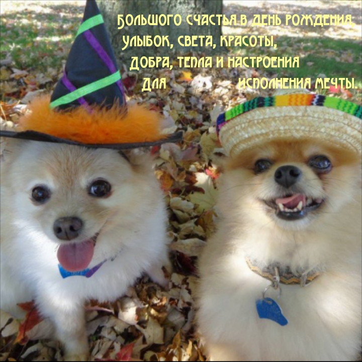 Большого счастья в день рождения, улыбок, света, красоты