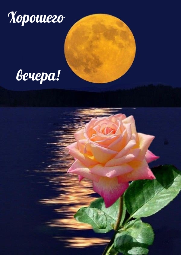 Хорошего вечера!