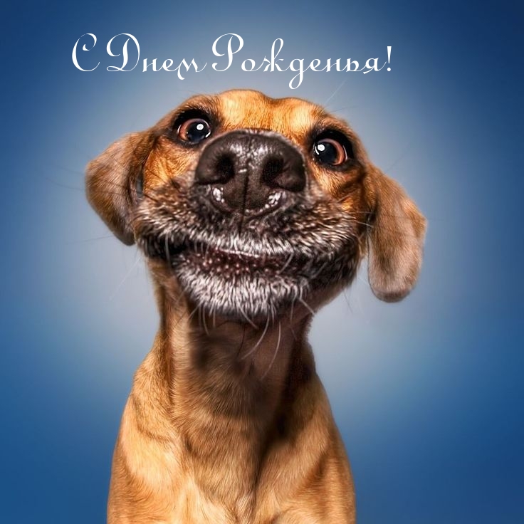 С Днем Рожденья!