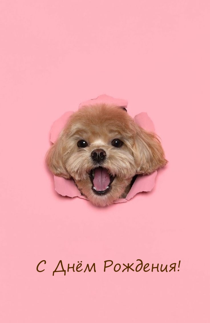 С Днём Рождения!
