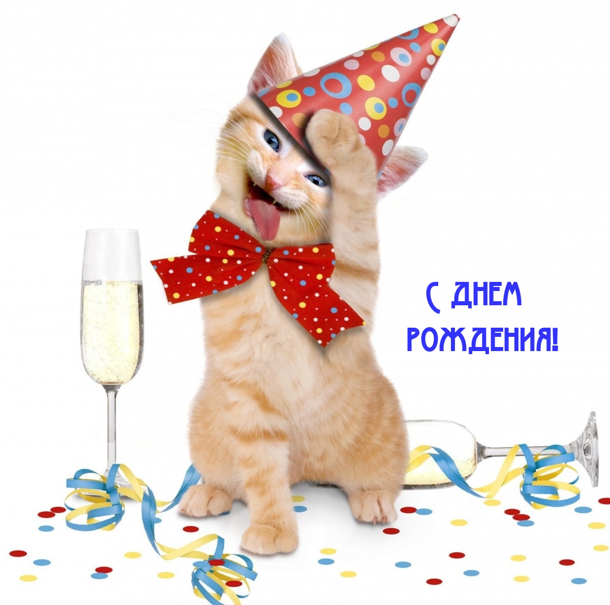 С днем рождения!