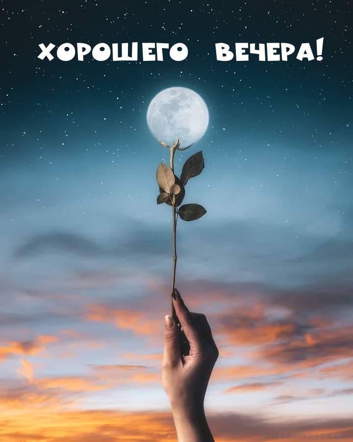 Хорошего вечера!