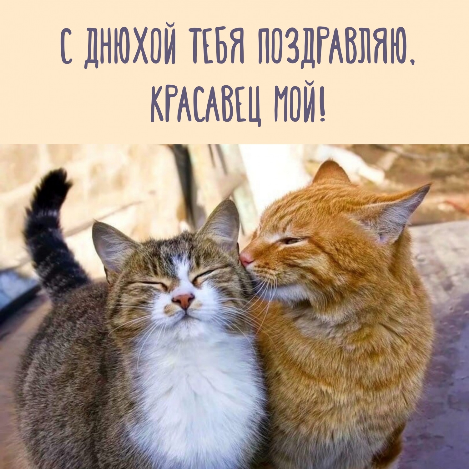 С днюхой тебя поздравляю, красавец мой!