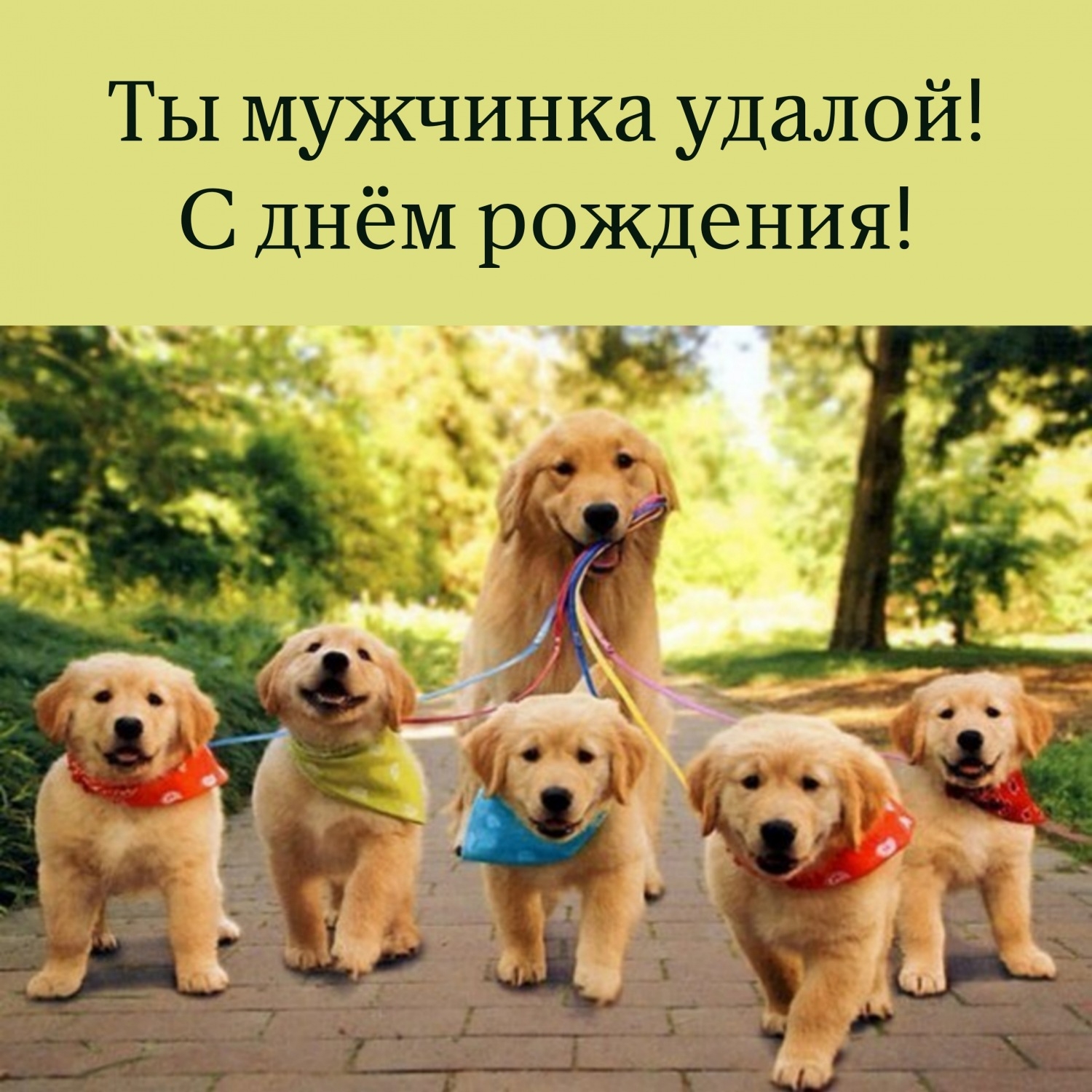 Ты мужчинка удалой! С днём рождения!