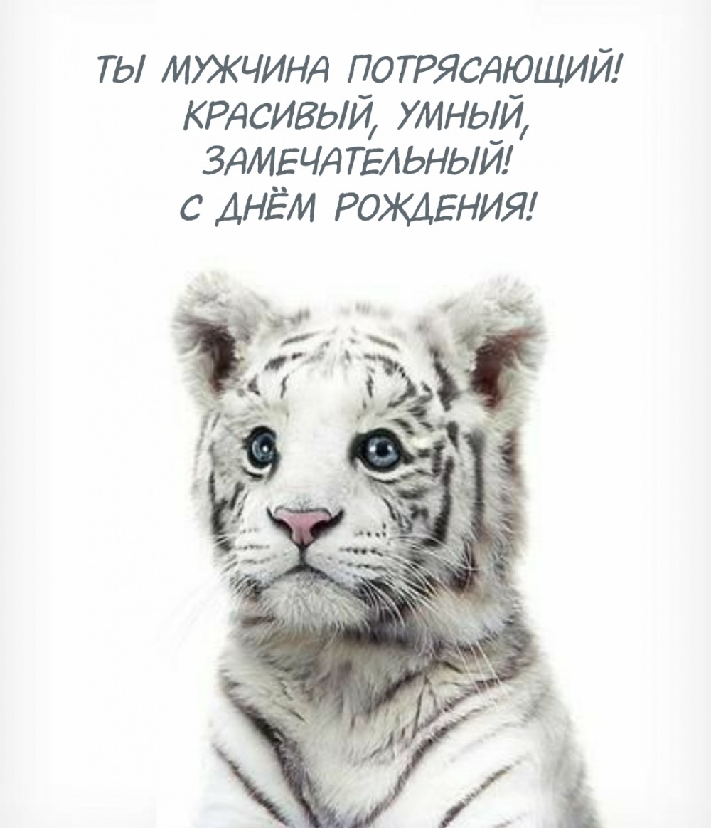 С днём рождения! Ты мужчина потрясающий!