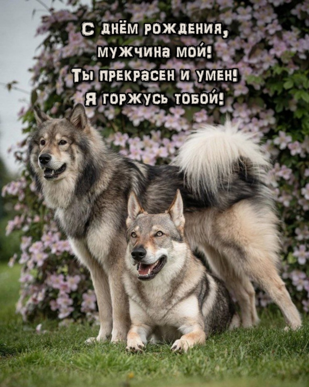 С днём рождения, мужчина мой! Ты прекрасен и умен