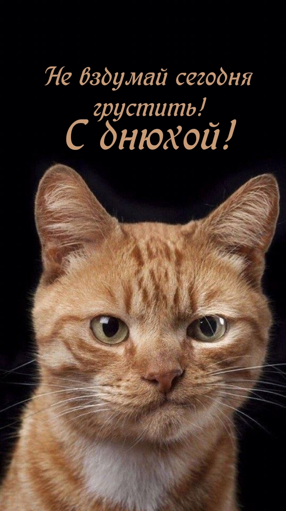 Не вздумай сегодня грустить! С днюхой! 