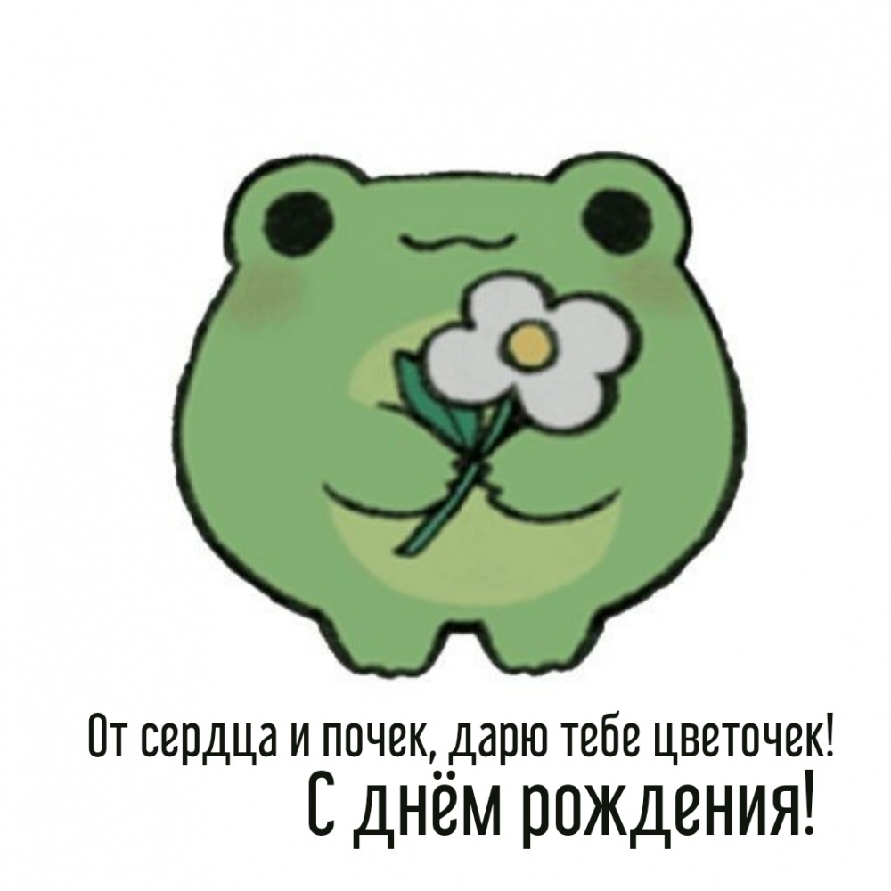 От сердца и почек, дарю тебе цветочек! С днём рождения!