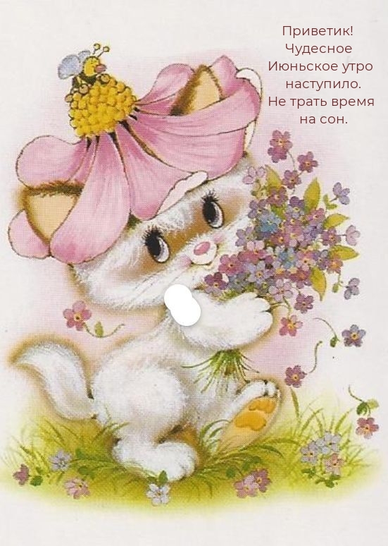 Чудесное Июньское утро наступило. Не трать время на сон.