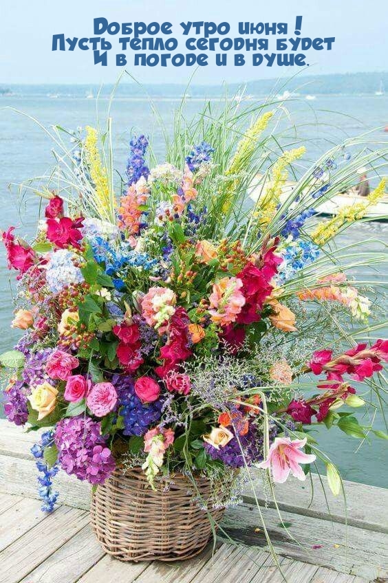 Доброе утро июня! Пусть тепло сегодня будет и в погоде и в душе.