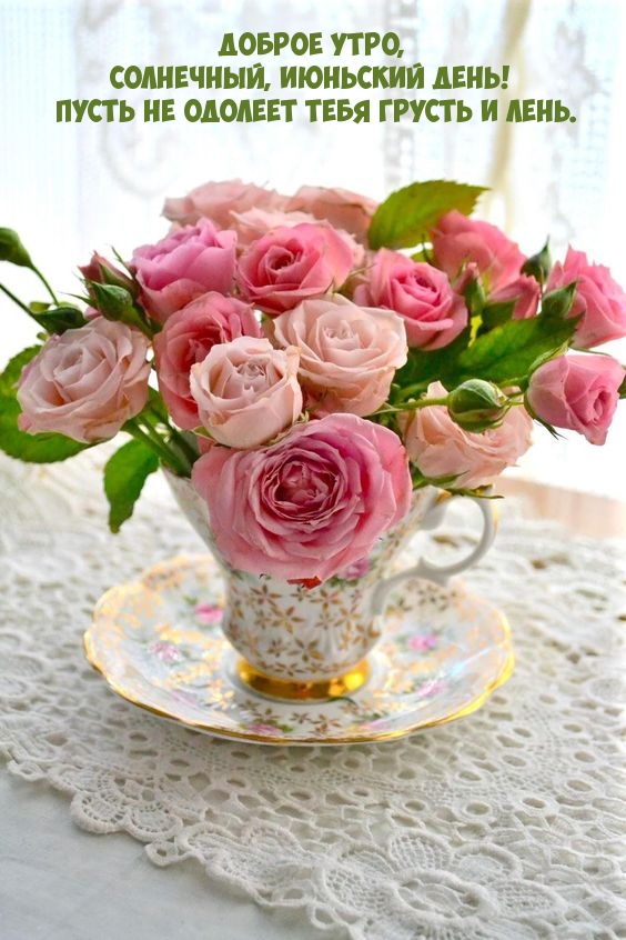 Доброе утро, солнечный, июньский день!