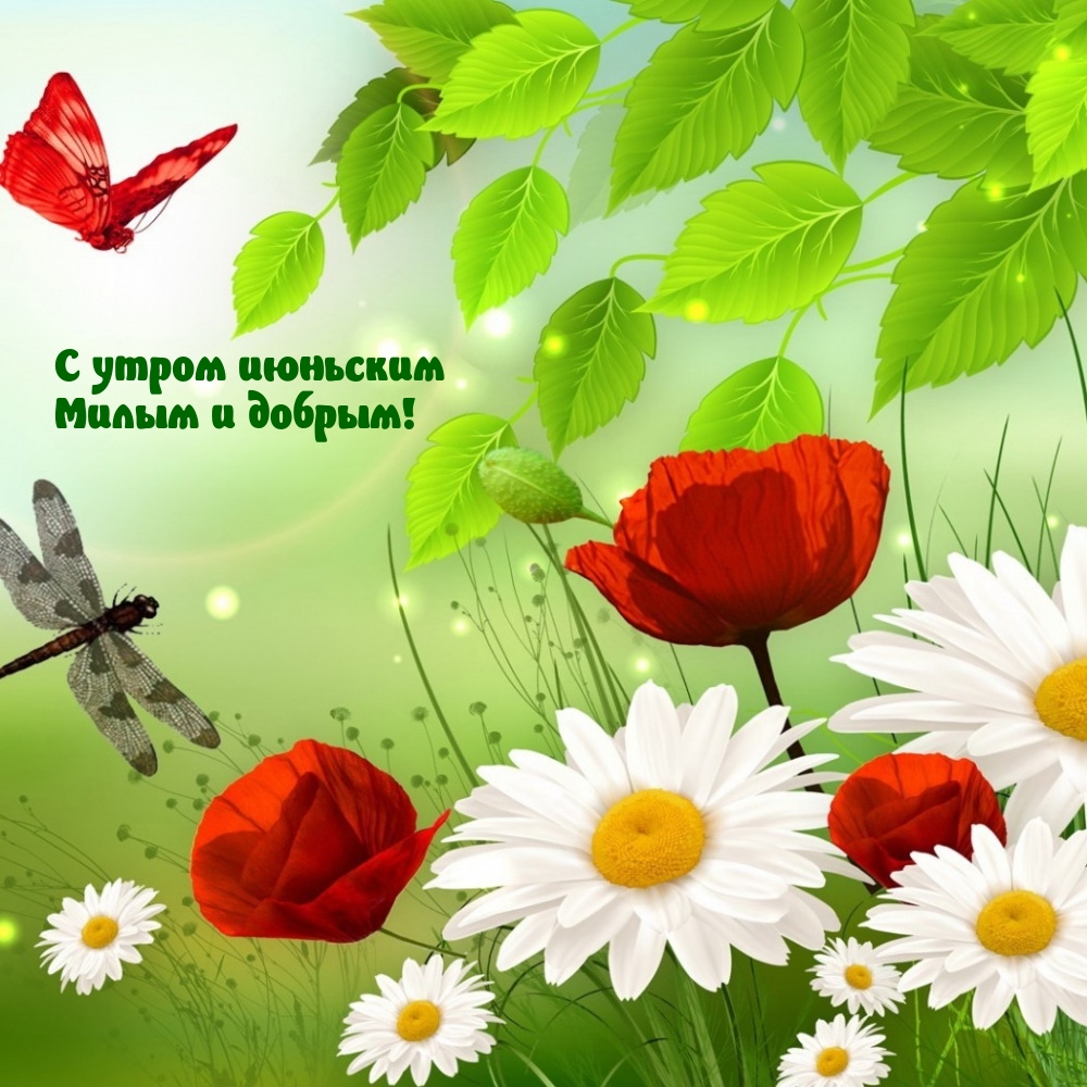 С утром июньским милым и добрым!