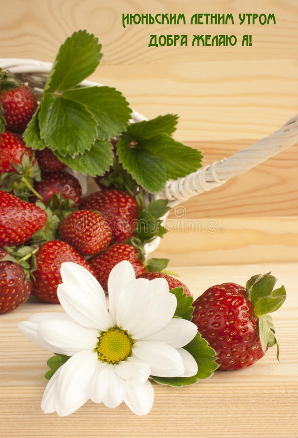 Июньским летним утром добра желаю я!