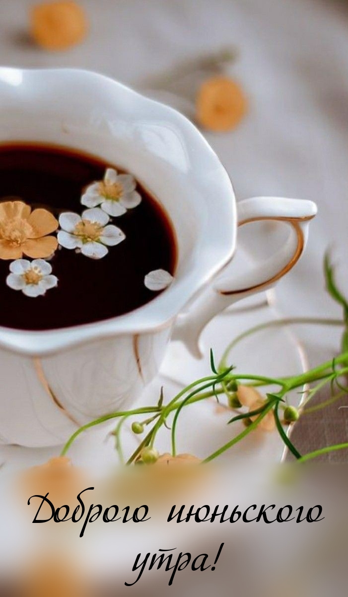 Доброго июньского утра!