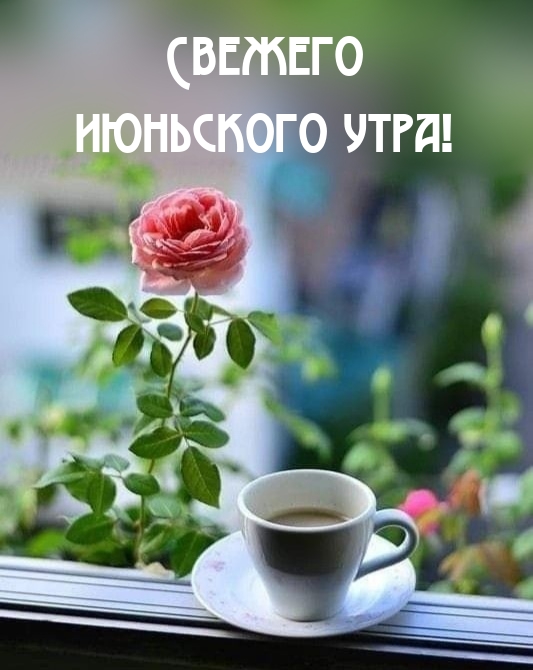 Свежего июньского утра!
