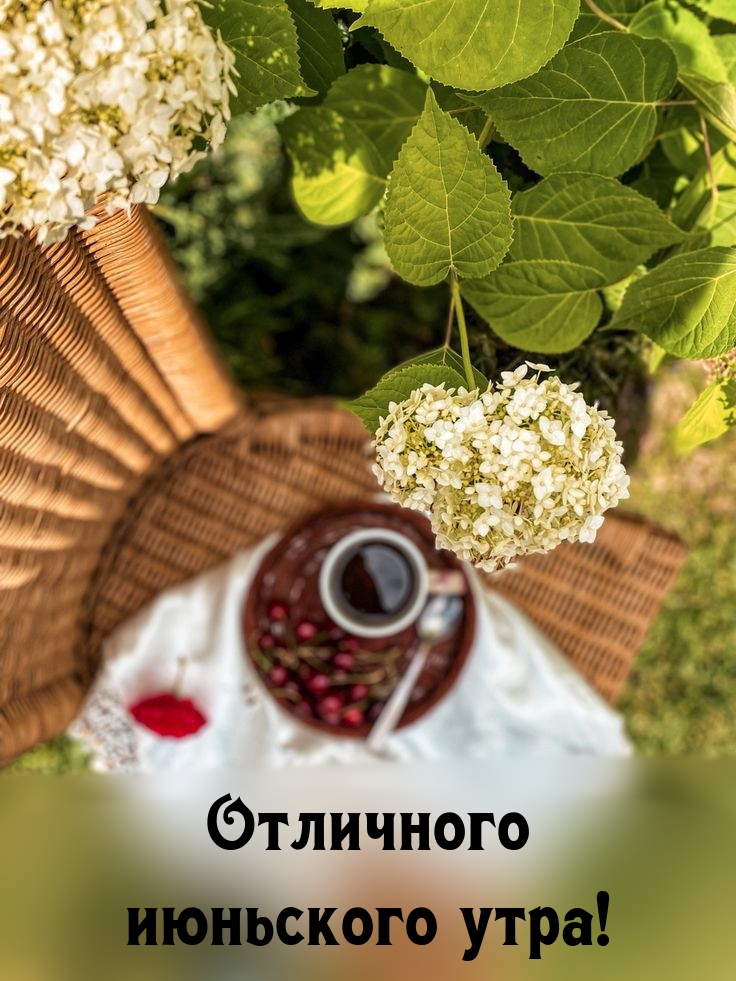 Отличного июньского утра!