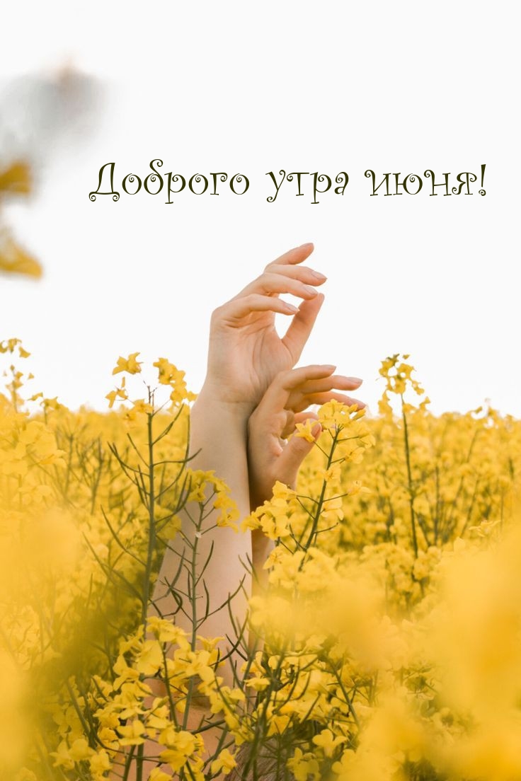 Доброго утра июня!