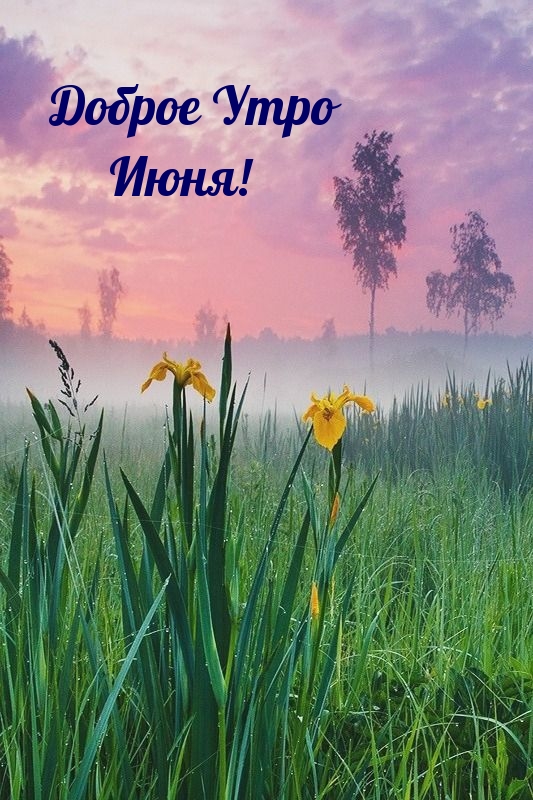 Доброе Утро Июня!