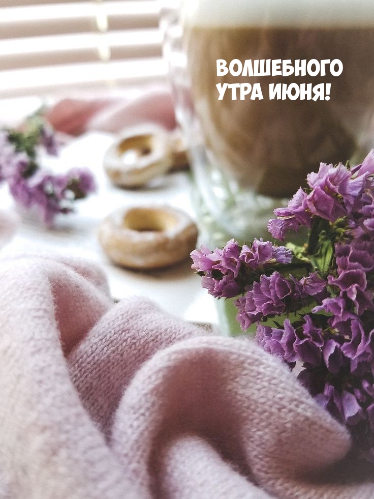 Волшебного Утра июня!