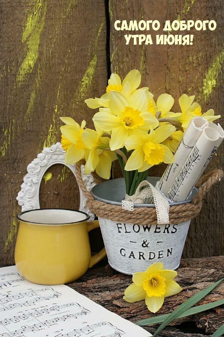 Самого доброго Утра июня!