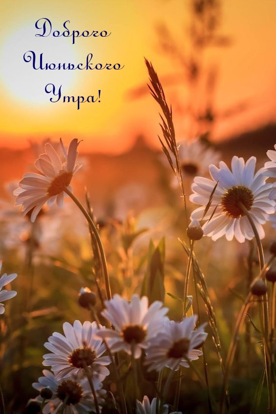 Доброго Июньского Утра!