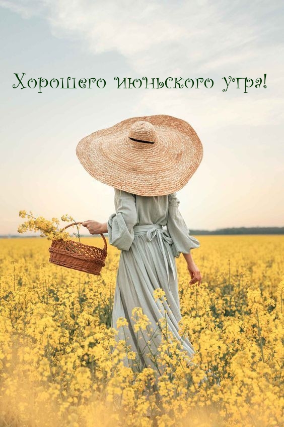Хорошего июньского утра!