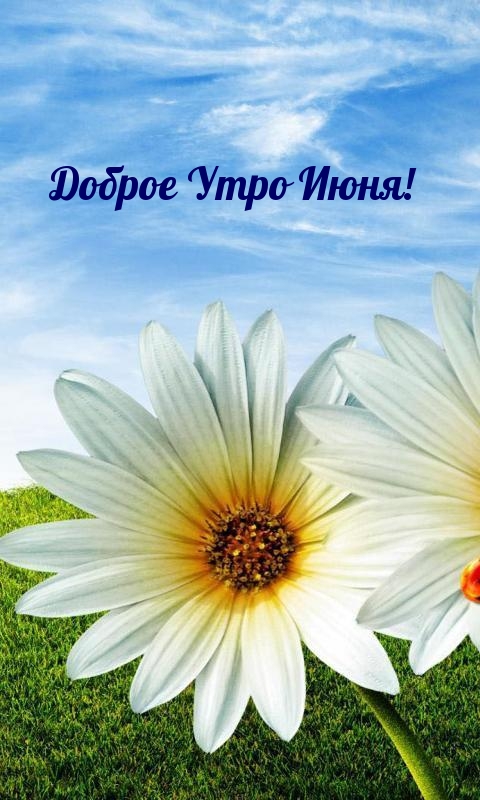 Доброе Утро Июня!