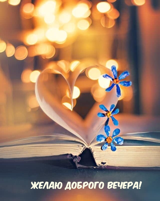 Желаю доброго вечера!