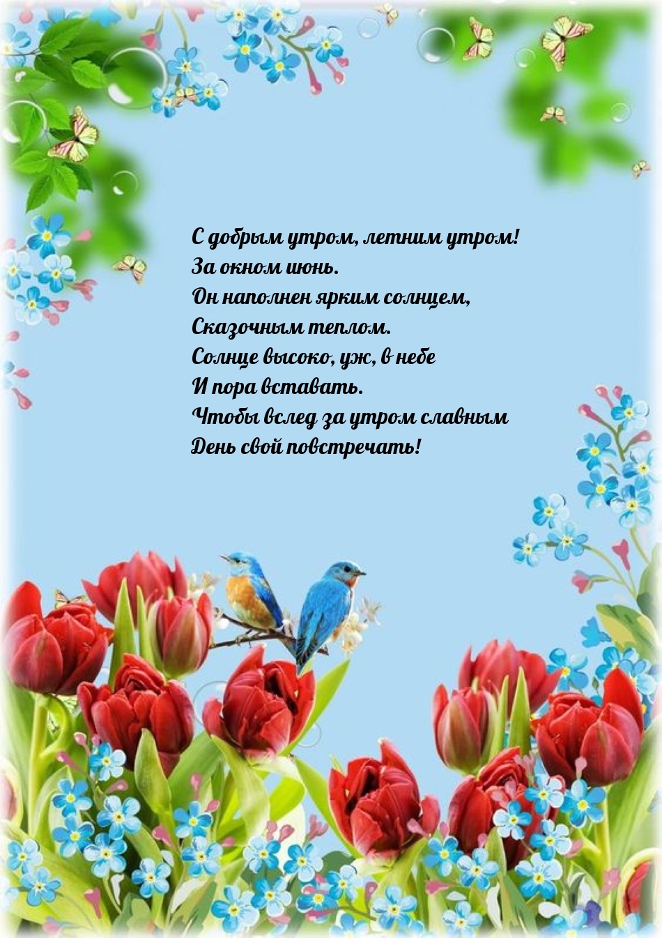 С добрым утром, летним утром! За окном июнь.