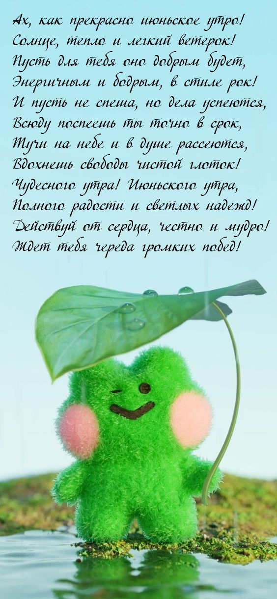 Ах, как прекрасно июньское утро! Солнце, тепло и легкий ветерок!