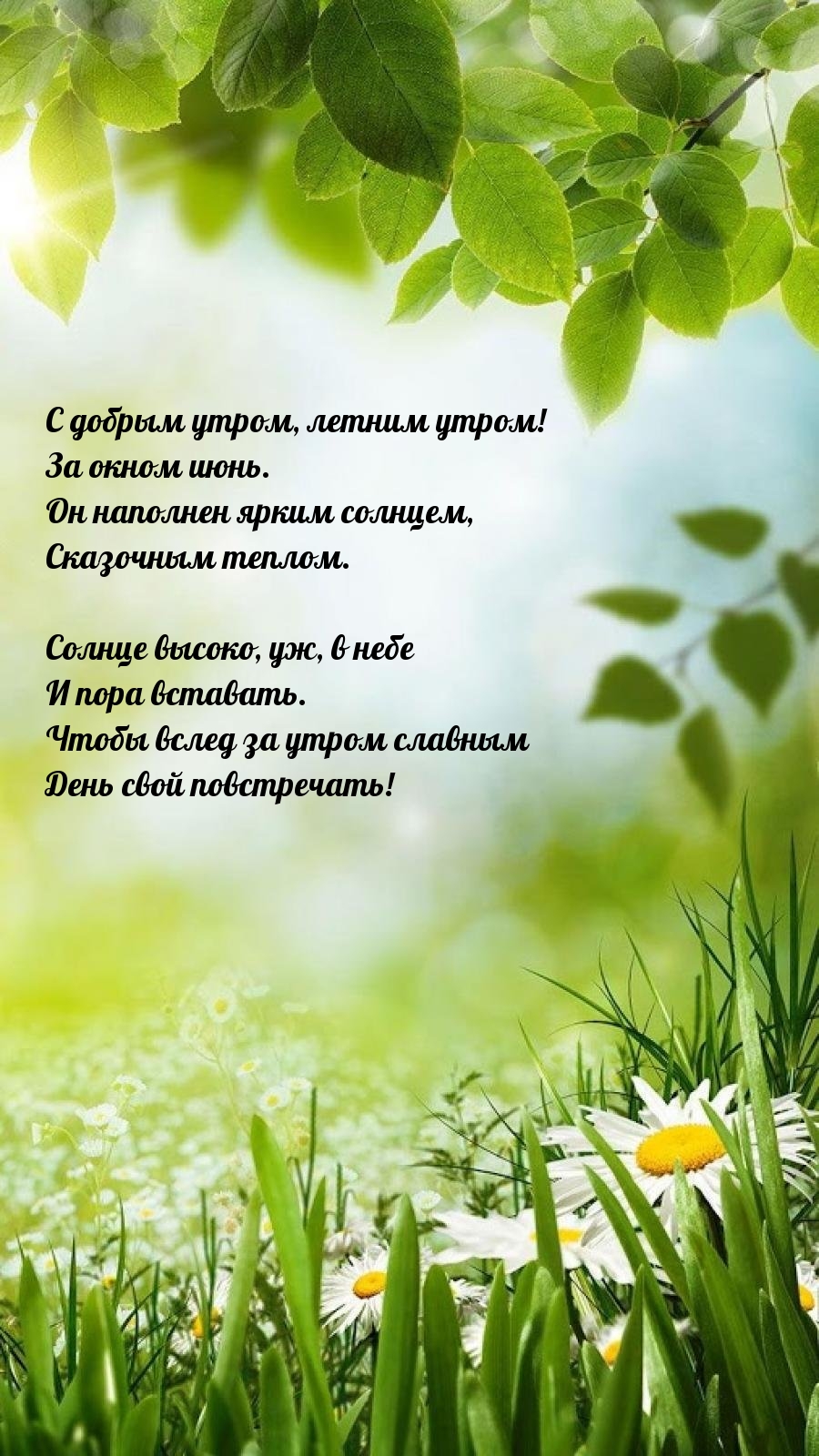 С добрым утром, летним утром! За окном июнь.