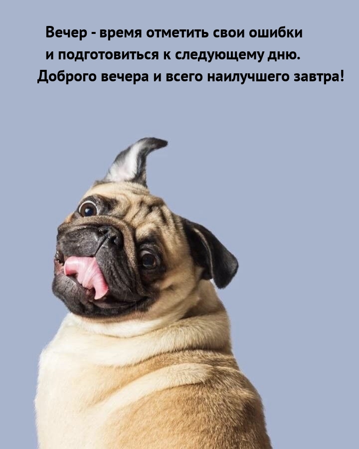 Вечер - время отметить свои ошибки