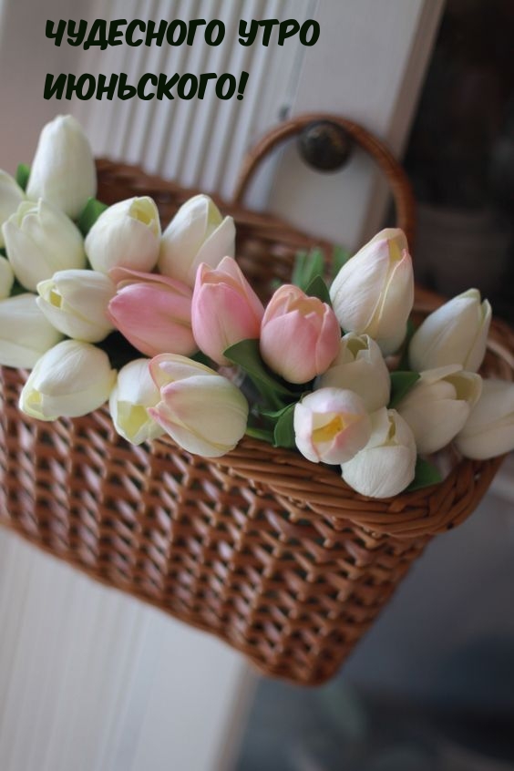 Чудесного утро Июньского!