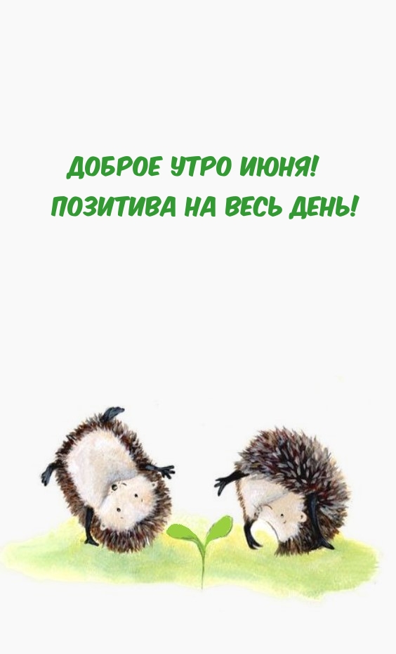 Доброе утро июня! Позитива на весь день!