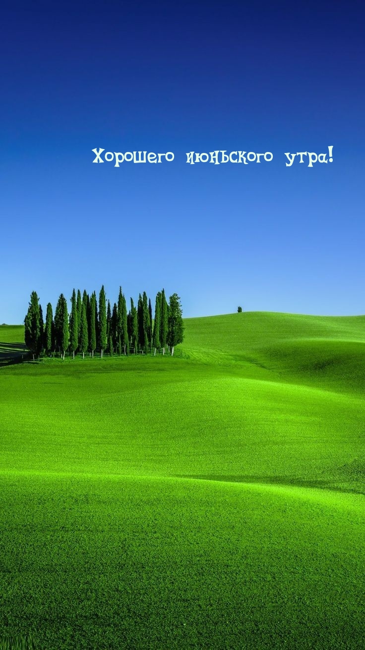 Хорошего июньского утра!