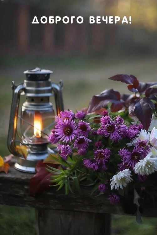 Доброго вечера!