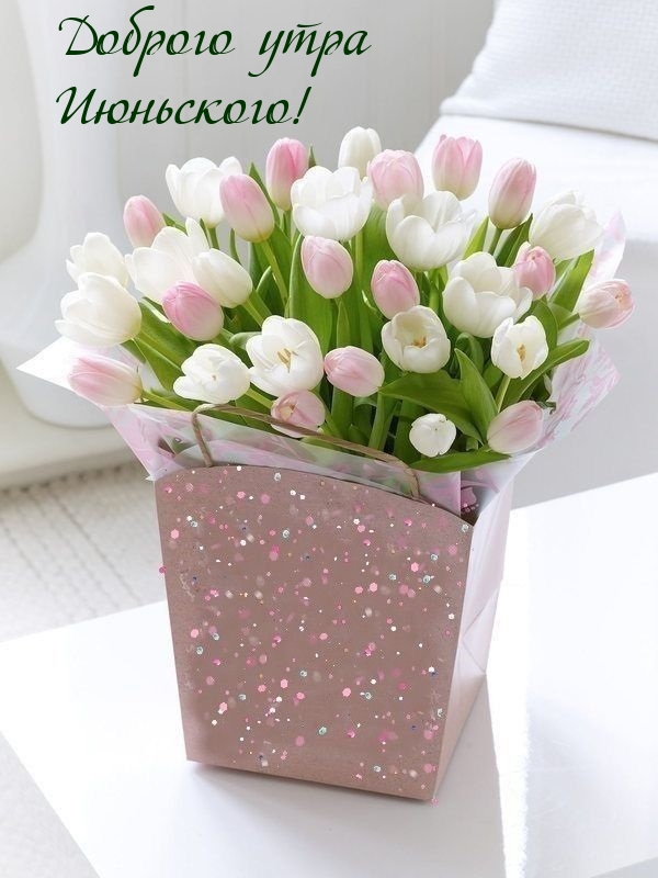 Доброго утра Июньского!