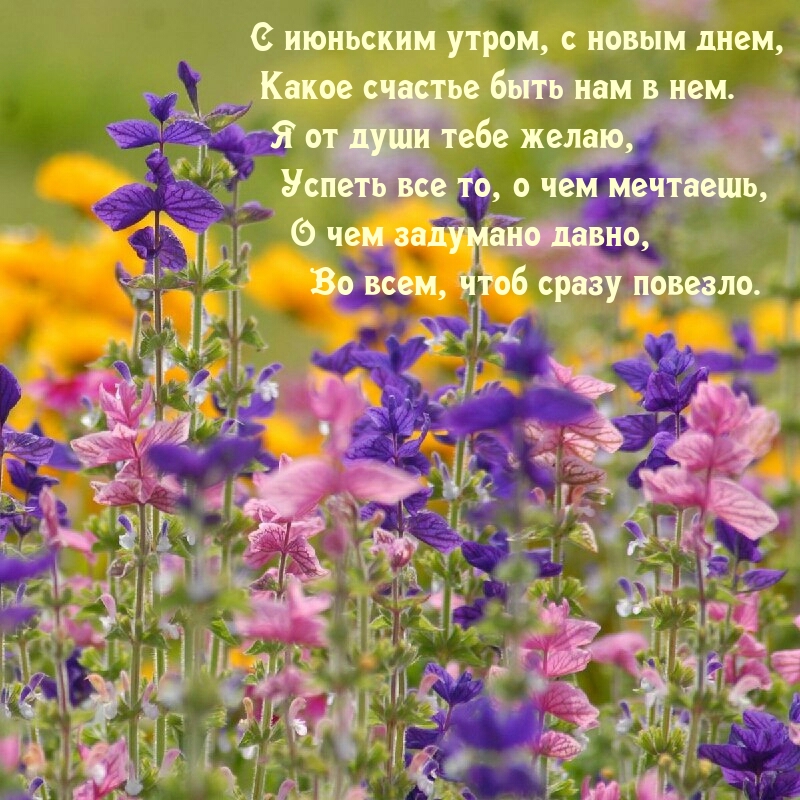 С июньским утром, с новым днем, какое счастье быть нам в нем.
