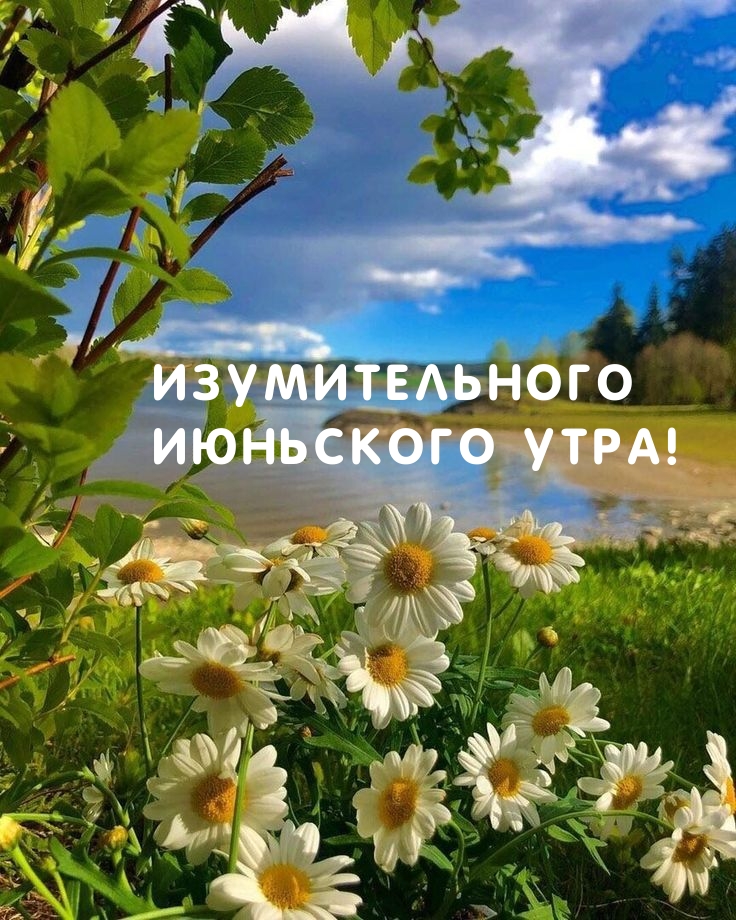 Изумительного Июньского Утра!