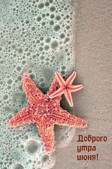 Доброго утра июня!