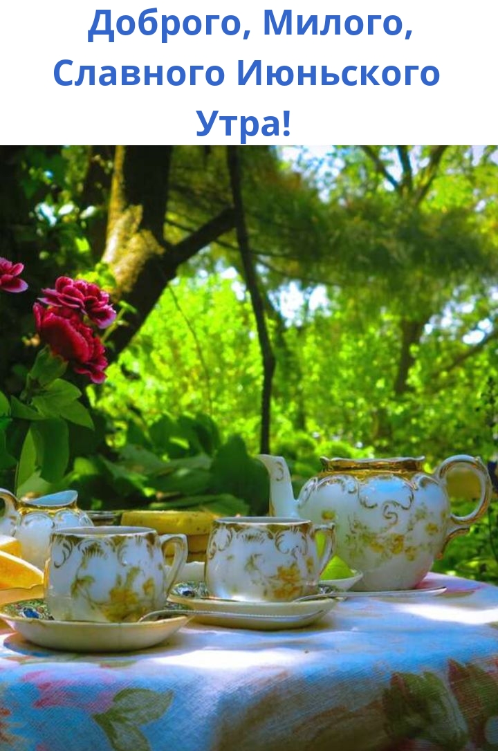 Доброго, Милого, Славного Июньского Утра!