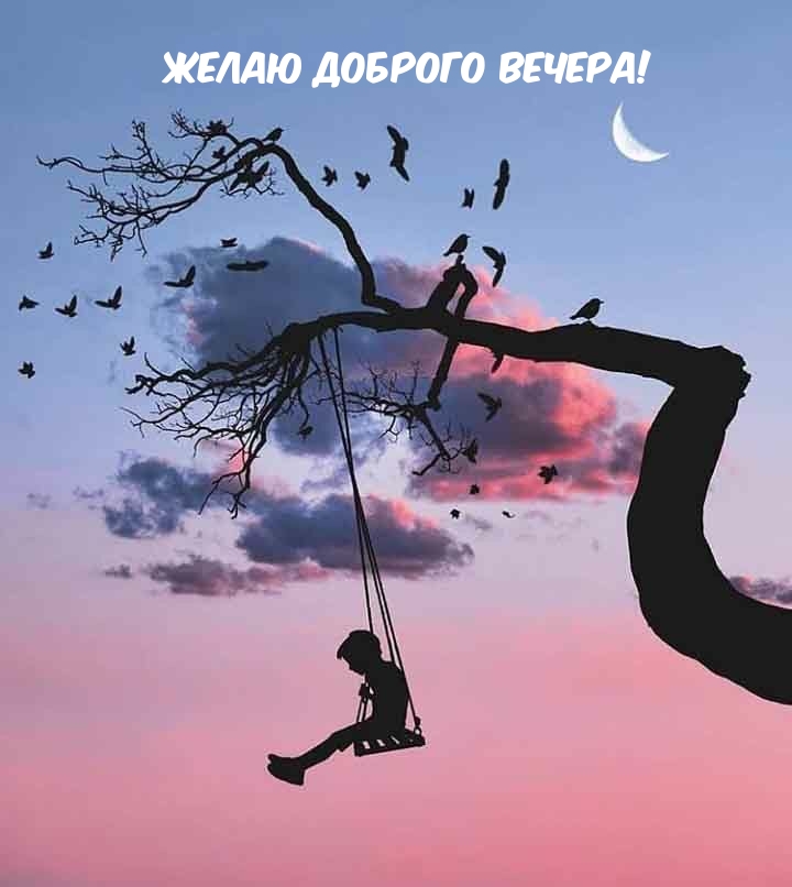 Желаю доброго вечера!