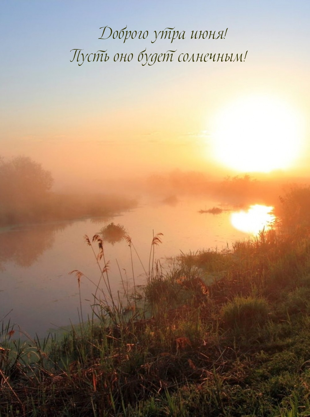 Доброго утра июня! Пусть оно будет солнечным!