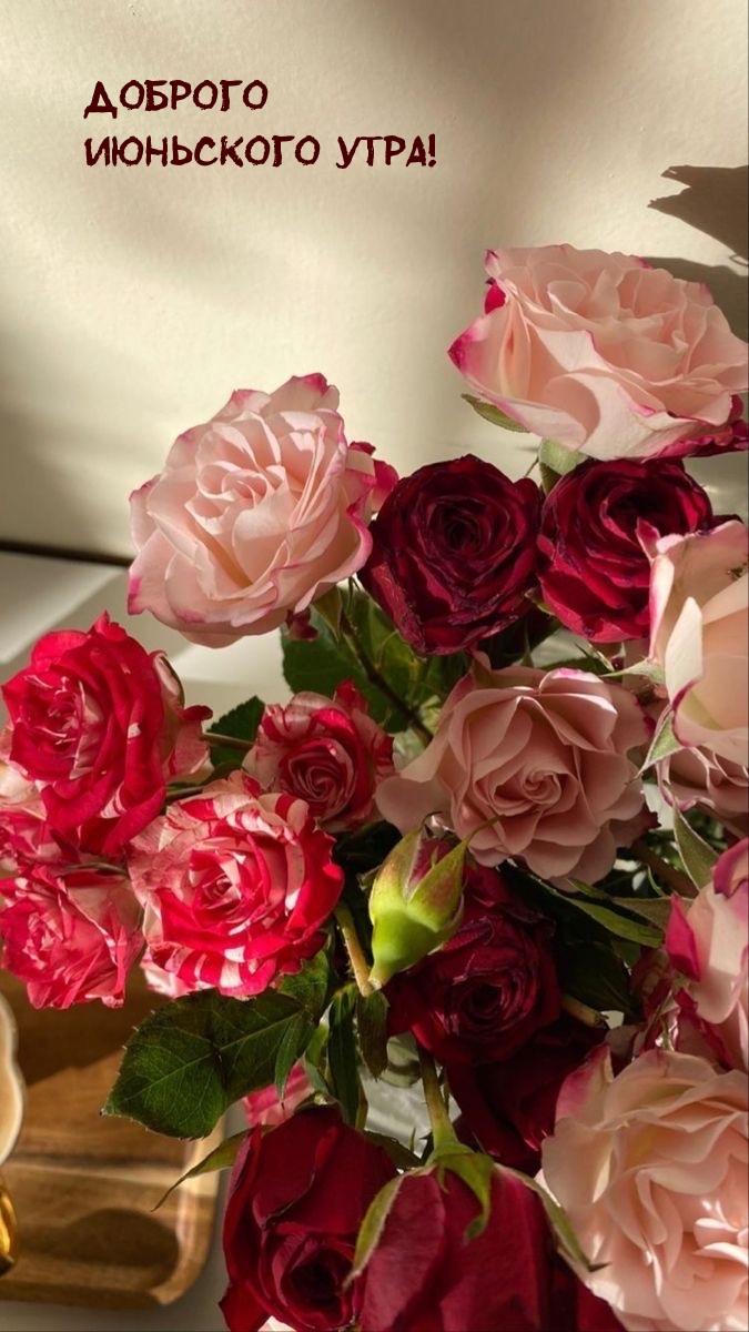 Доброго июньского утра!