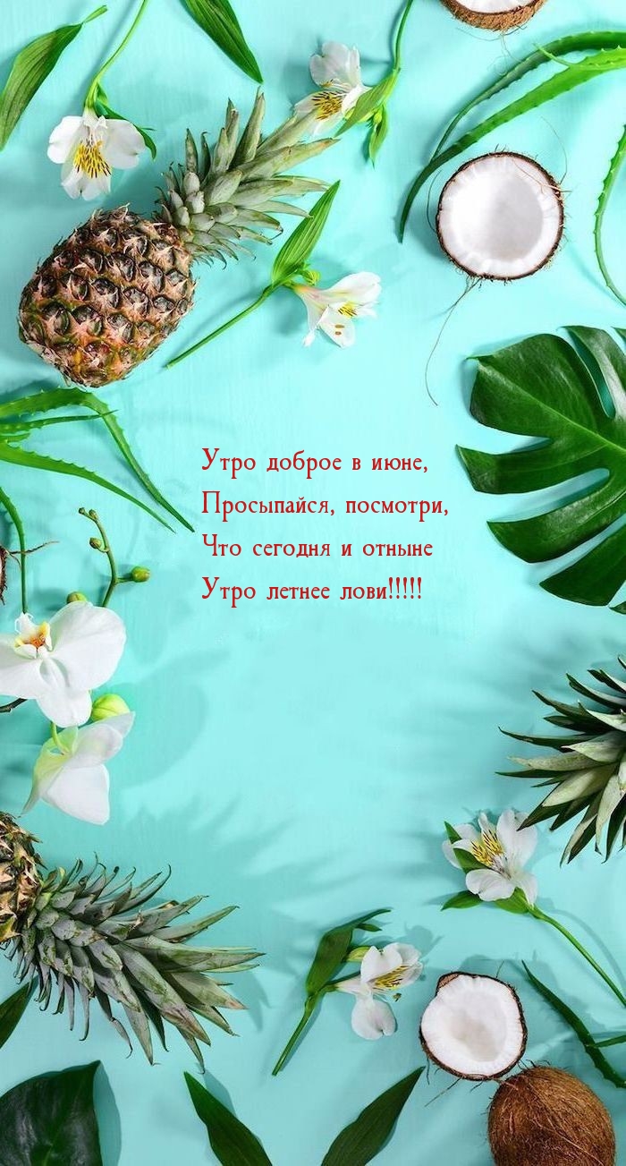 Утро доброе в июне, просыпайся, посмотри