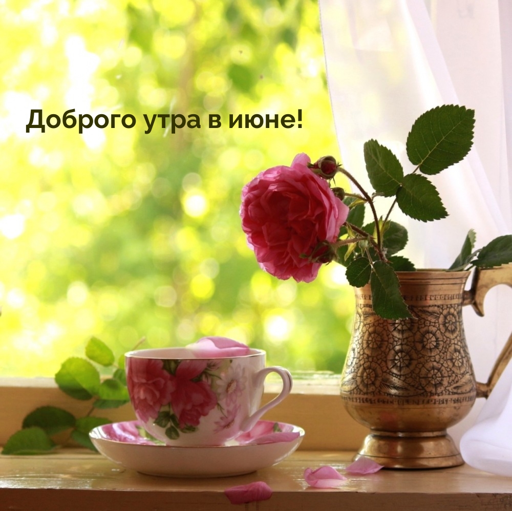 Доброго утра в июне!