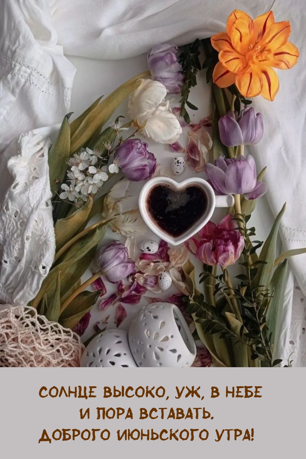 Солнце высоко, уж, в небе и пора вставать. Доброго июньского утра! 